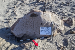 Piedra: 1519, Cara decorada: I