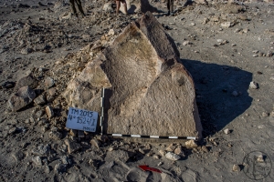 Piedra: 1524, Cara decorada: II