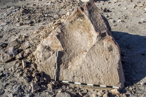 Piedra: 1524, Cara decorada: II