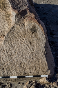Piedra: 1524, Cara decorada: II