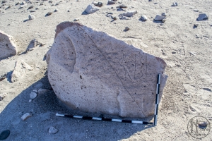 Piedra: 1528, Cara decorada: I