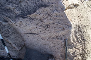 Piedra: 1529, Cara decorada: I