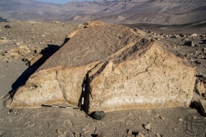 Piedra: 1531, Cara decorada: I