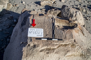 Piedra: 1532, Cara decorada: II