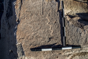 Piedra: 1532, Cara decorada: II