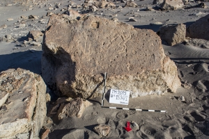 Piedra: 1534, Cara decorada: I