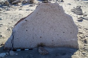 Piedra: 1536, Cara decorada: I