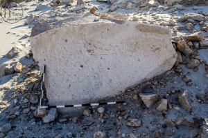 Piedra: 1537, Cara decorada: I