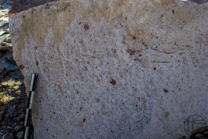 Piedra: 1537, Cara decorada: I
