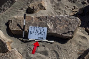Piedra: 1541, Cara decorada: I