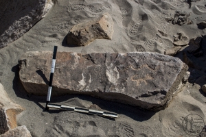 Piedra: 1541, Cara decorada: I