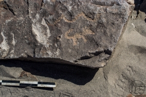 Piedra: 1541, Cara decorada: I