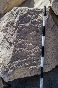 Piedra: 1543, Cara decorada: I