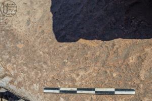Piedra: 1549, Cara decorada: I