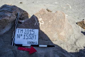Piedra: 1552, Cara decorada: I