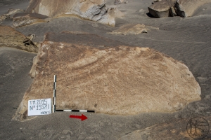 Piedra: 1557, Cara decorada: I