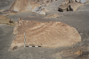 Piedra: 1557, Cara decorada: I