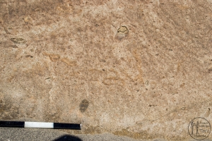 Piedra: 1557, Cara decorada: I