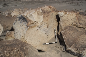 Piedra: 1560, Cara decorada: I