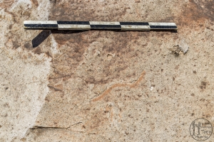 Piedra: 1560, Cara decorada: I