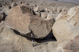 Piedra: 1561, Cara decorada: I