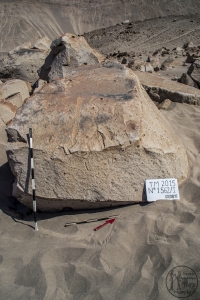 Piedra: 1562, Cara decorada: I