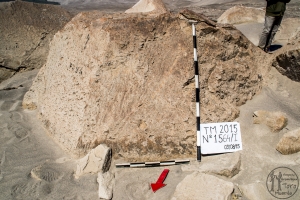 Piedra: 1564, Cara decorada: I