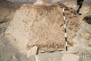 Piedra: 1564, Cara decorada: I