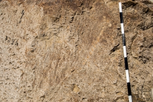 Piedra: 1564, Cara decorada: I