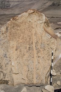 Piedra: 1568, Cara decorada: II