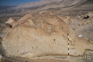 Piedra: 1570, Cara decorada: I