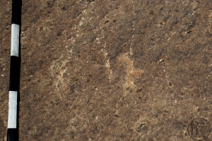 Piedra: 1573, Cara decorada: II