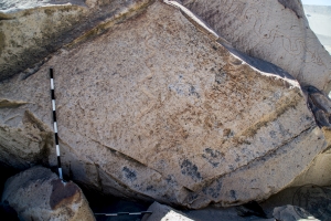 Piedra: 1582, Cara decorada: II