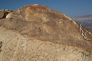 Piedra: 1582, Cara decorada: IV