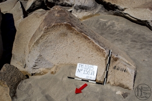 Piedra: 1583, Cara decorada: II