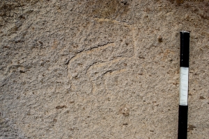 Piedra: 1583, Cara decorada: II