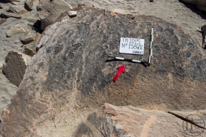 Piedra: 1586, Cara decorada: IV