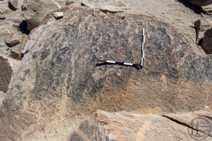 Piedra: 1586, Cara decorada: IV