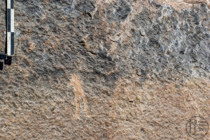 Piedra: 1586, Cara decorada: IV