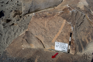 Piedra: 1586, Cara decorada: VI
