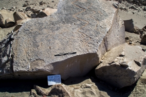 Piedra: 1589, Cara decorada: II