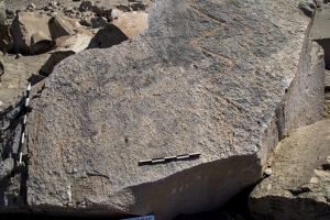 Piedra: 1589, Cara decorada: II