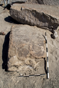 Piedra: 1591, Cara decorada: I