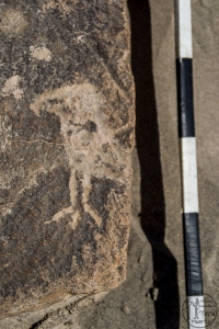 Piedra: 1591, Cara decorada: I