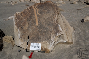 Piedra: 1598, Cara decorada: I