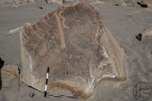 Piedra: 1598, Cara decorada: I