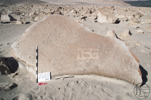 Piedra: 1603, Cara decorada: I