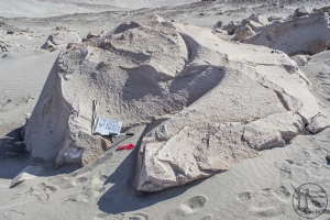 Piedra: 1605, Cara decorada: I