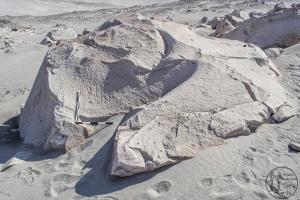 Piedra: 1605, Cara decorada: I
