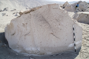 Piedra: 1612, Cara decorada: I